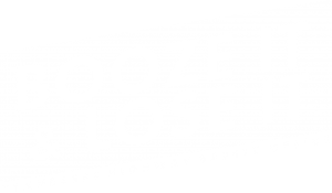 booze it and lose it logo